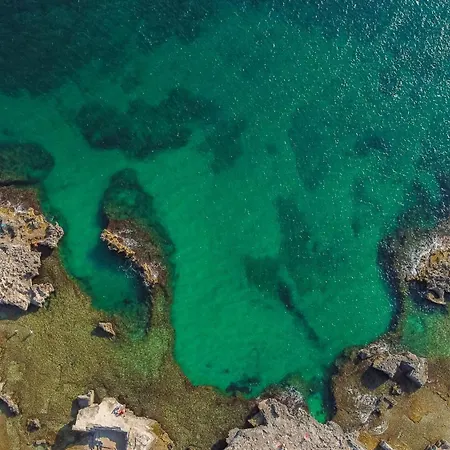 Atlantide Faccia di Trippa di Monte